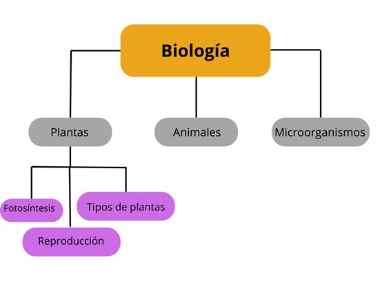 mapa-arbol