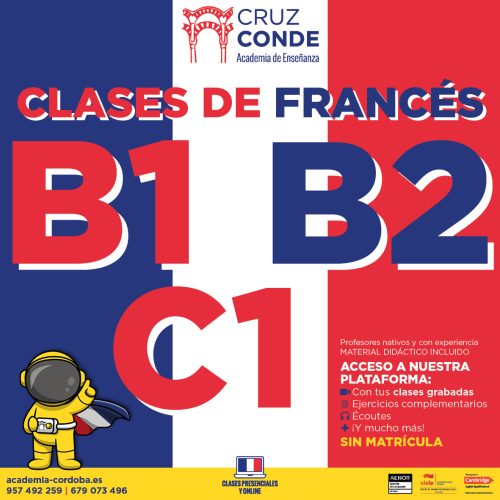 clases de francés b1 b2 academia clases online3